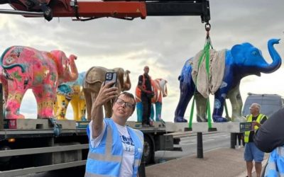 Herd In The City Finishes With Charity Auction